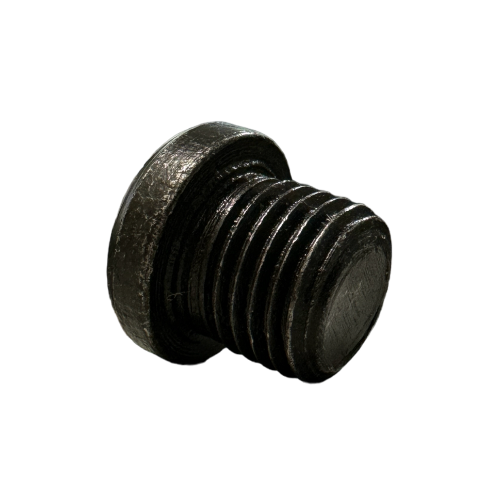 BUJÃO DE CÁRTER MOTOR AP 2.0 TODOS - SULPOSTOS (3)