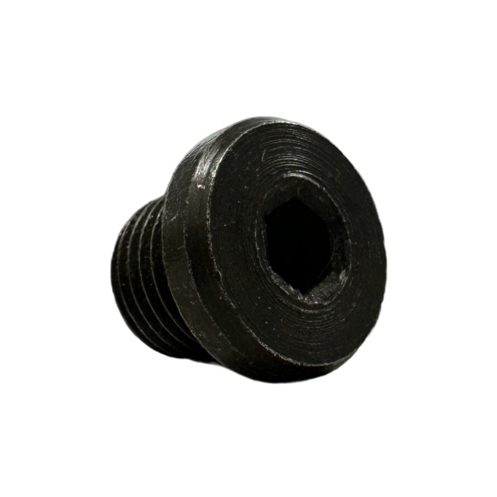 BUJÃO DE CÁRTER MOTOR AP 2.0 TODOS - SULPOSTOS (4)